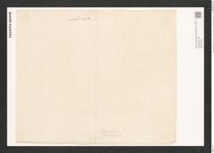 Surirella arabica Grun. (de-Toni-Nr.: Genus 53, Species 2381) Zeichnungen Sammlung Grunow (NHMW-BOT-W0372921)
